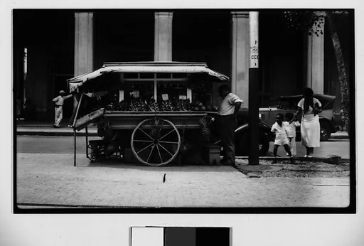 [Fruit Vendor's Cart, Havana]