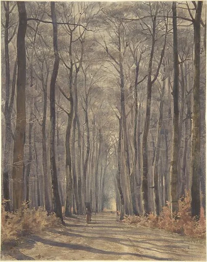 An Allée in the Woods