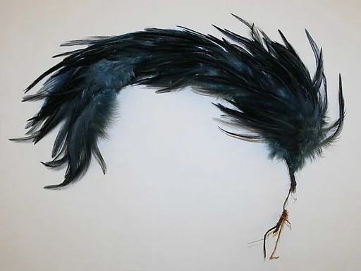 Feather