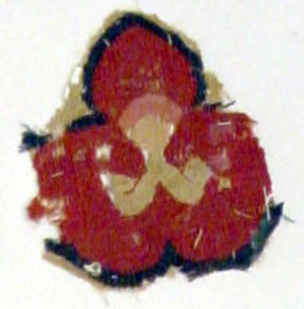 Textile Fragment — Unknown