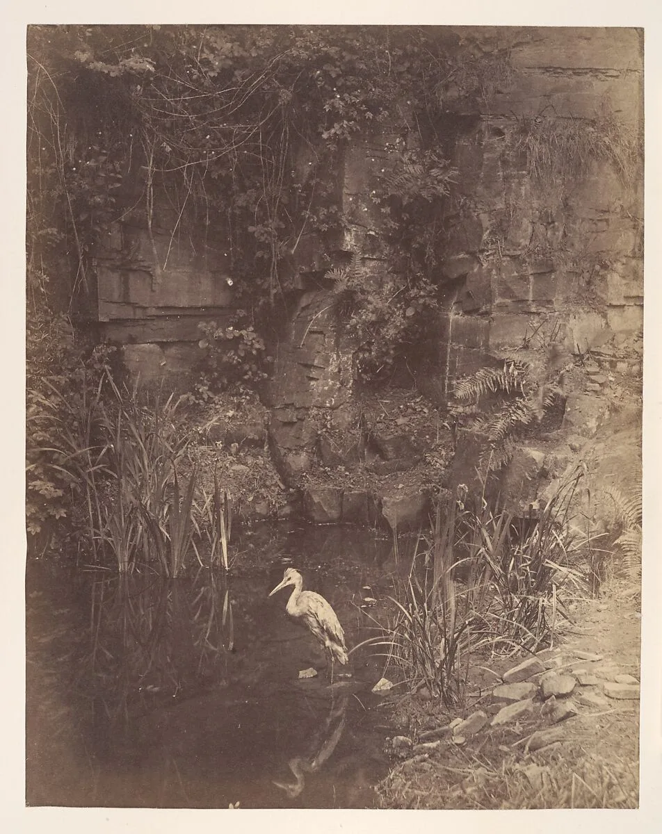 Piscator, No. 2 — John Dillwyn Llewelyn