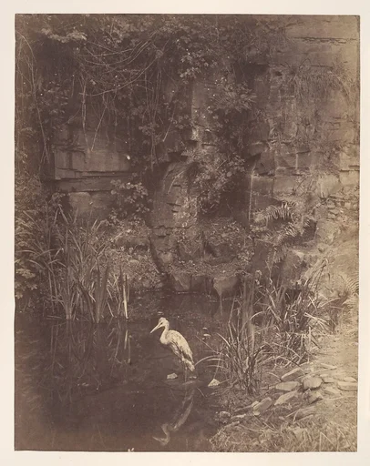 Piscator, No. 2