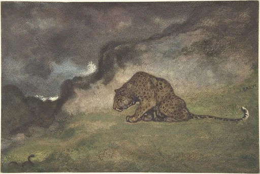 Leopard Watching Serpent