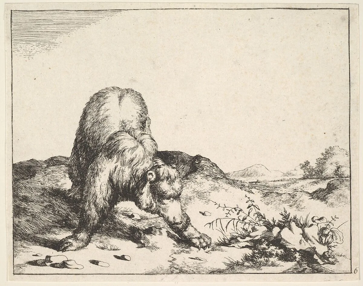 from The Set of The Bears — Marcus de Bye|Marcus Gheeraerts the Elder