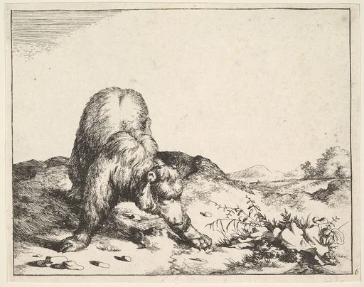 from The Set of The Bears