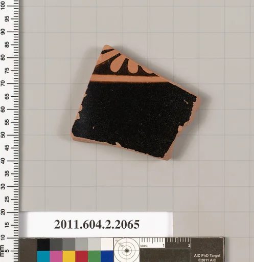 Terracotta fragments of an amphora (jar)?