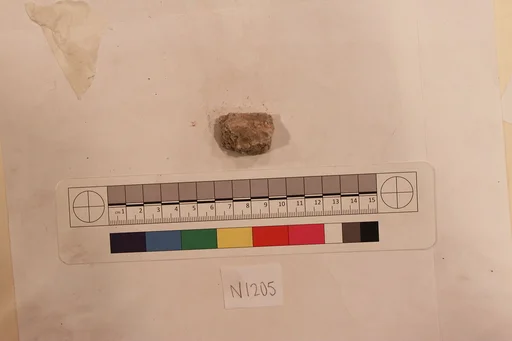 Stucco Fragment