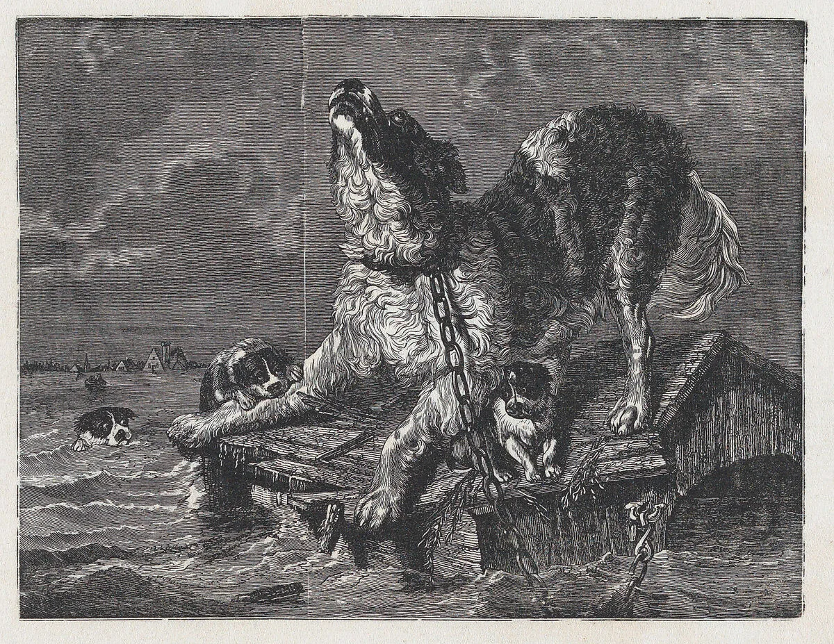 A large chained dog howling while puppies try to climb onboard a sinking dog house — Miguel Pacheco