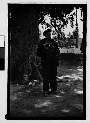 [Man Wearing Cap and Overalls Standing Next to Tree, Hale County?, Alabama]