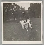 [Adolf de Meyer and His Dog, Leff]