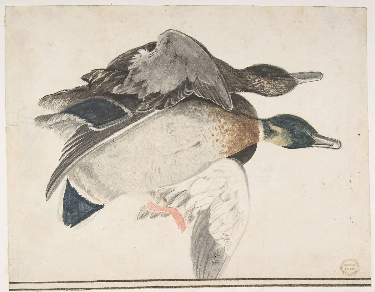 Two Dead Ducks — Count Giorgio Durante (Duranti)