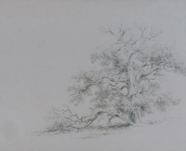 Tree Struck by Lightning — Xanthus Russell Smith