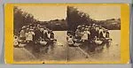 [47 Stereographic Views of Swans on Lake, Central Park, New York]