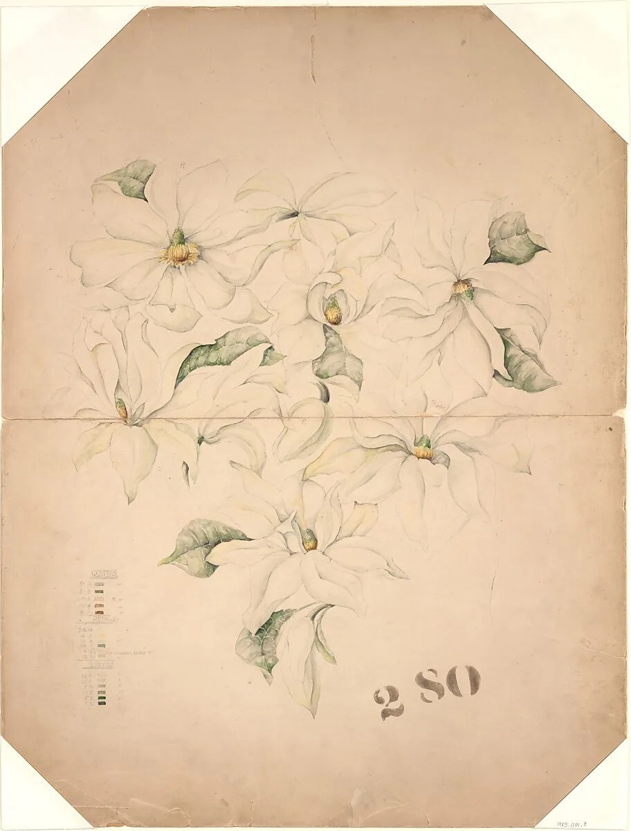 Drawing of Magnolia Vase with Enameling Notations (?) — Tiffany & Co.