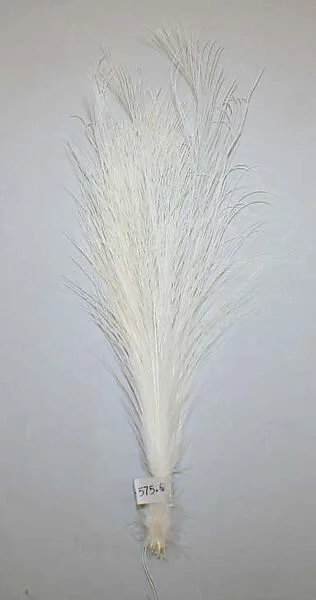 Aigrette — Unknown