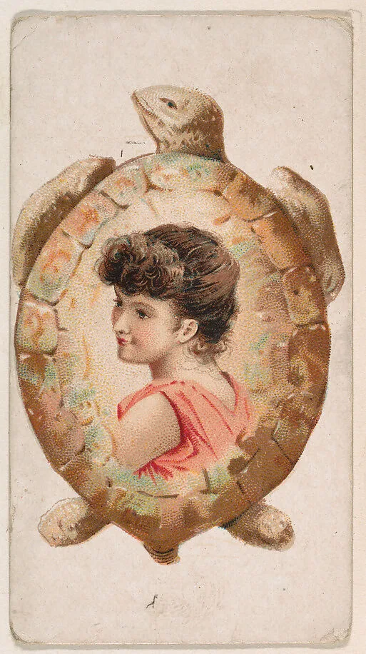 Turtle, from the Novelties series (N228, Type 5) issued by Kinney Bros. — Kinney Brothers Tobacco Company