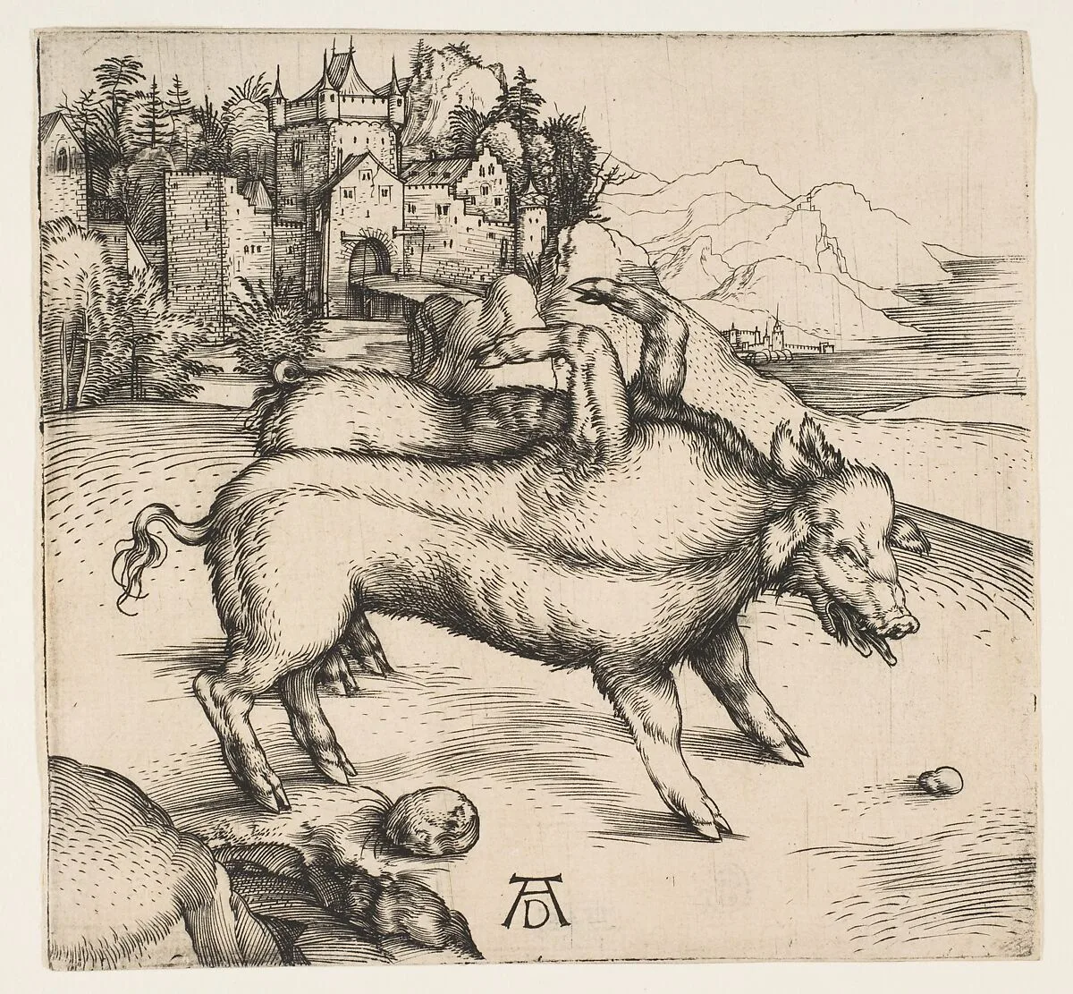 The Monstrous Pig of Landser — Albrecht Dürer