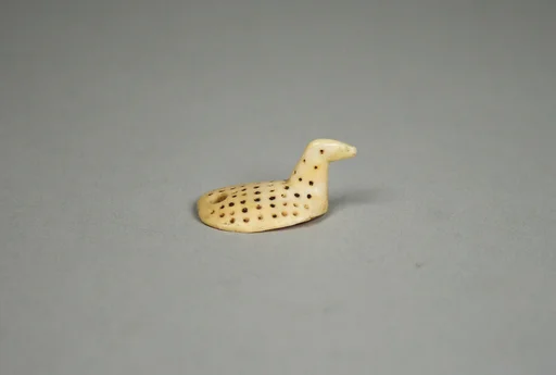 Water Bird