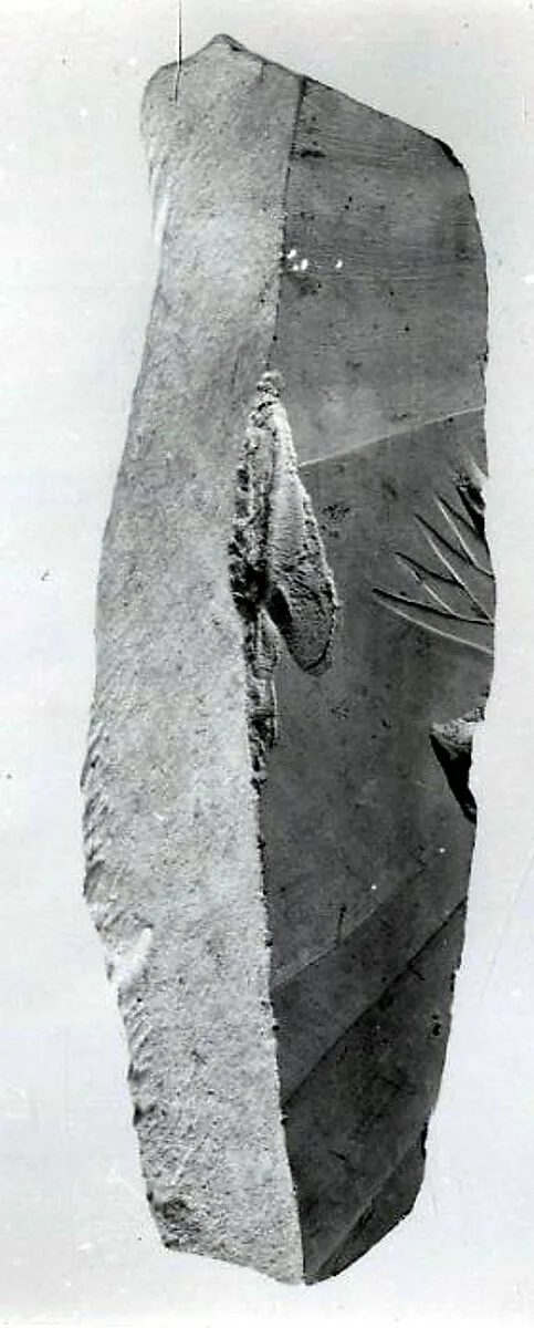 Relief fragment, tomb of Meketre — Unknown