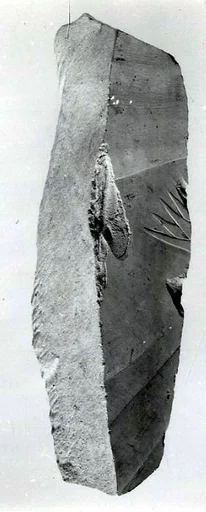 Relief fragment, tomb of Meketre