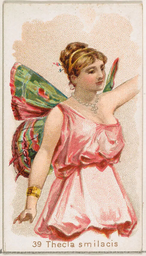 Card 39, Thecla Smilacis, from the Butterflies series (N183) issued by Wm. S. Kimball & Co. — Julius Bien|William S. Kimball & Company
