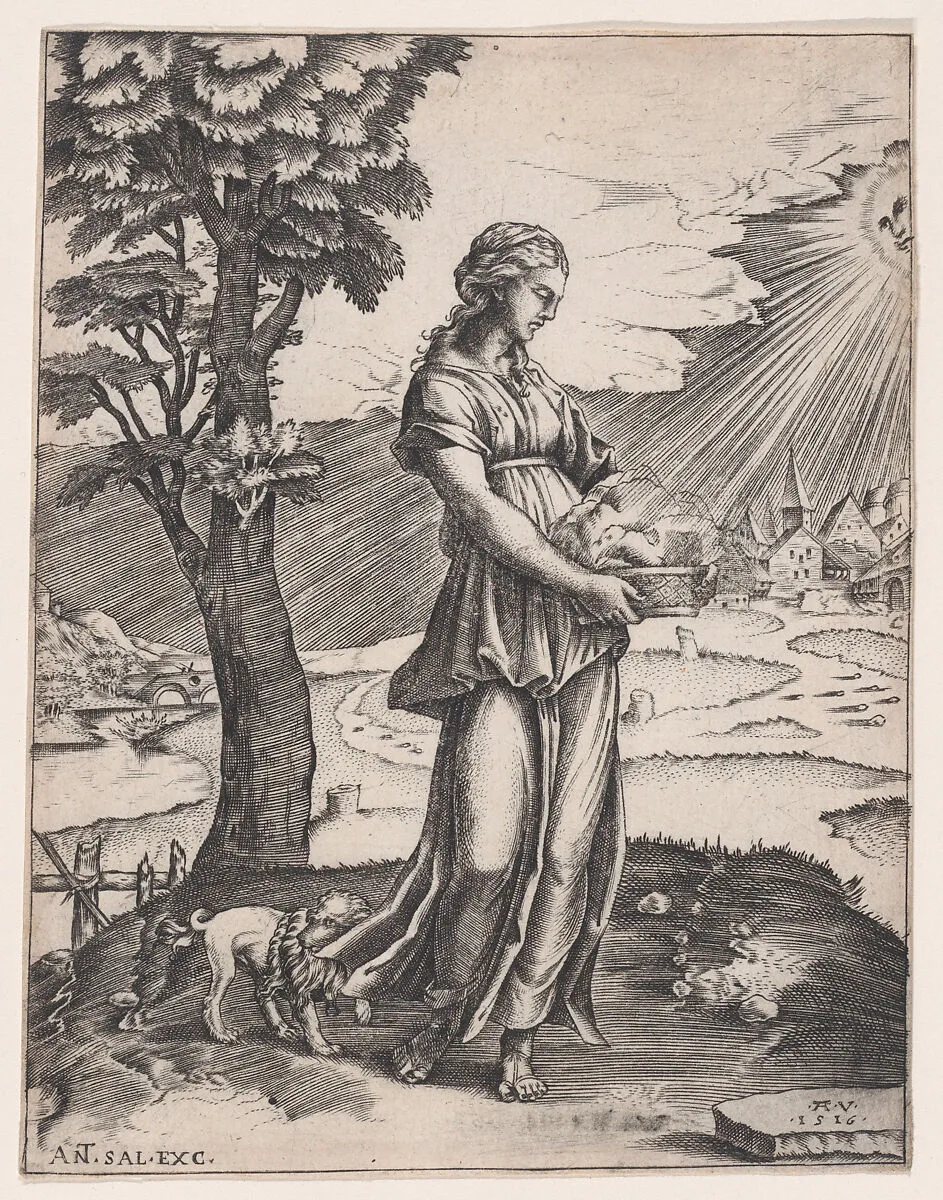 The Cumaean Sibyl — Agostino Veneziano (Agostino dei Musi)|Raphael (Raffaello Sanzio or Santi)