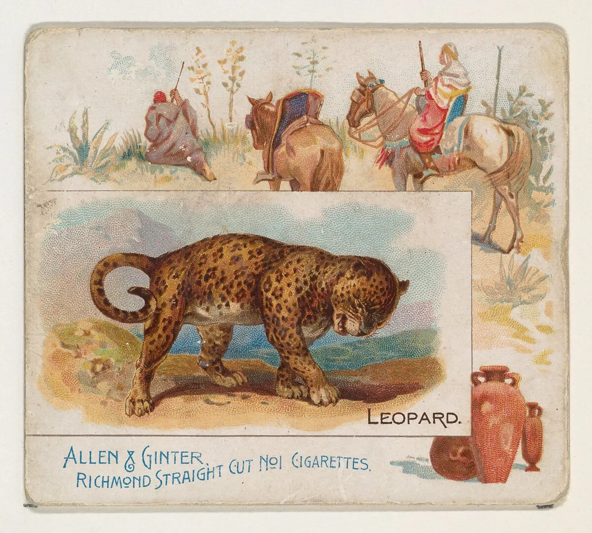 Leopard, from Quadrupeds series (N41) for Allen & Ginter Cigarettes — Allen & Ginter|Lindner, Eddy & Claus