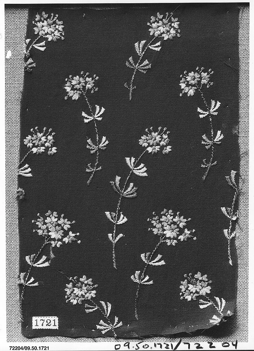 Fragment — Unknown
