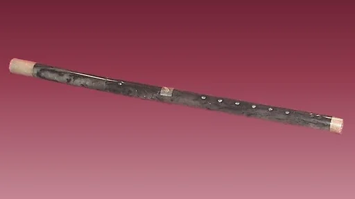 Dizi (笛子 )