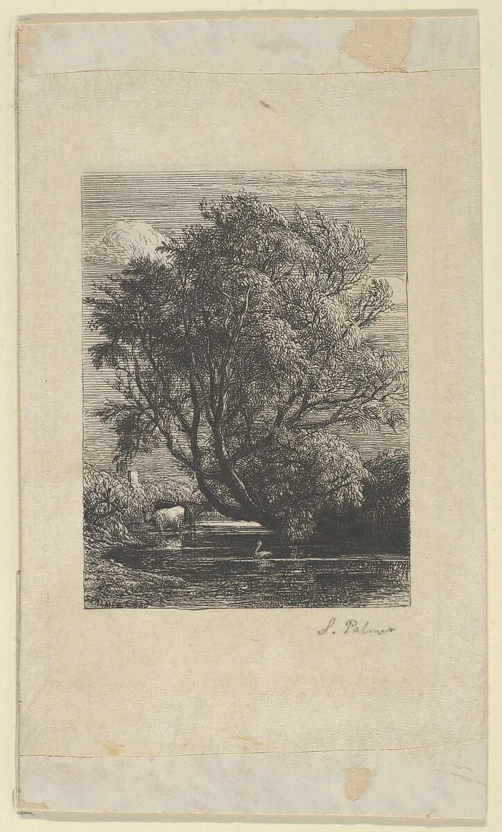 The Willow — Samuel Palmer