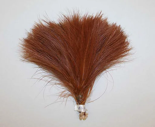 Aigrette