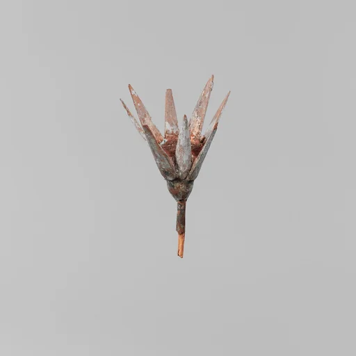 Model Lotus Flower