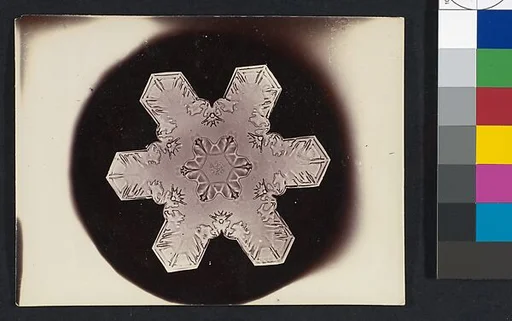 [Snow Crystal]