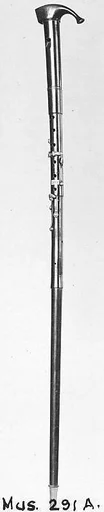 Walking-Stick Flageolet in A