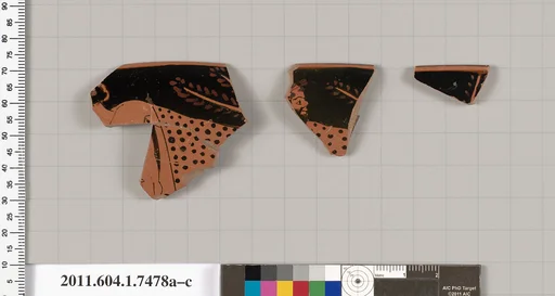 Terracotta rim fragments of a kylix (drinking cup)