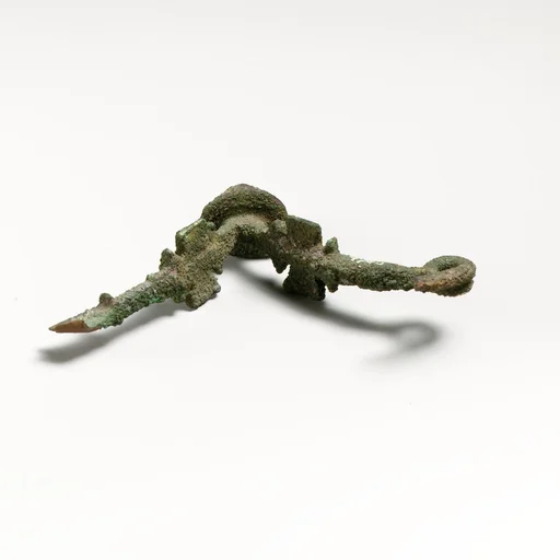Fibula, fragment