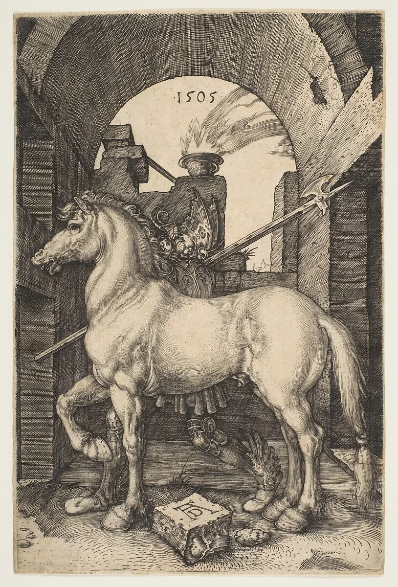 The Little Horse — Albrecht Dürer