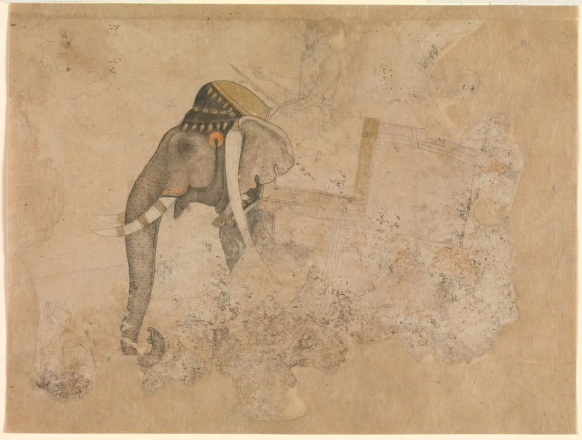 Elephant and Rider — Hashim
