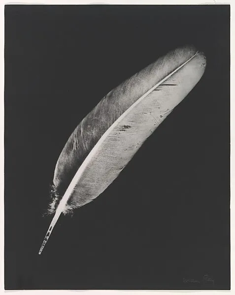 Plume — Man Ray