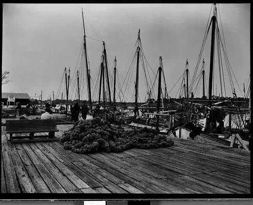 [Sponges on Wharf, Tarpon Springs, Florida]