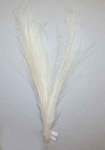 Aigrette — Unknown