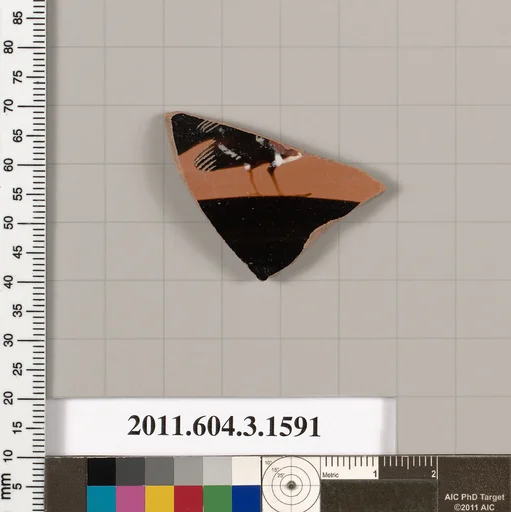 Terracotta fragment of a kylix: Band cup (drinking cup)