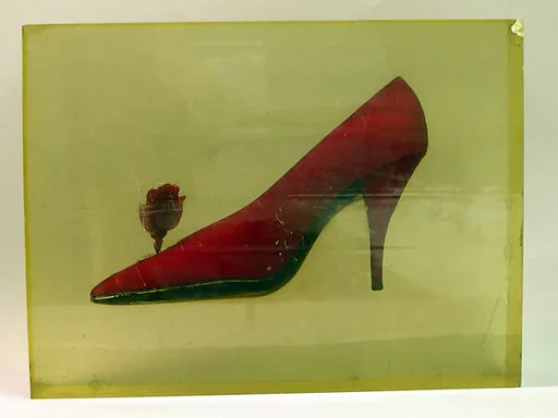 Evening shoes