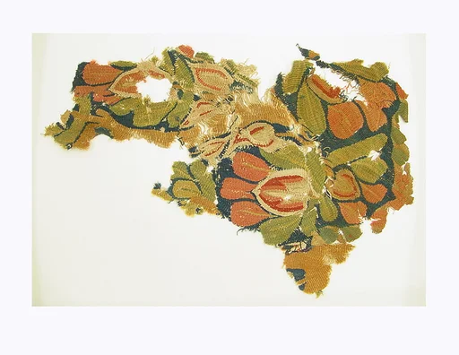 Textile Fragment