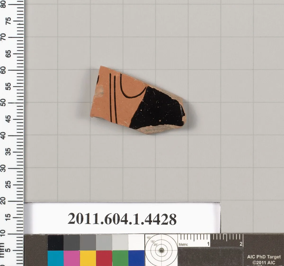 Terracotta fragment of a kylix (drinking cup) — Unknown