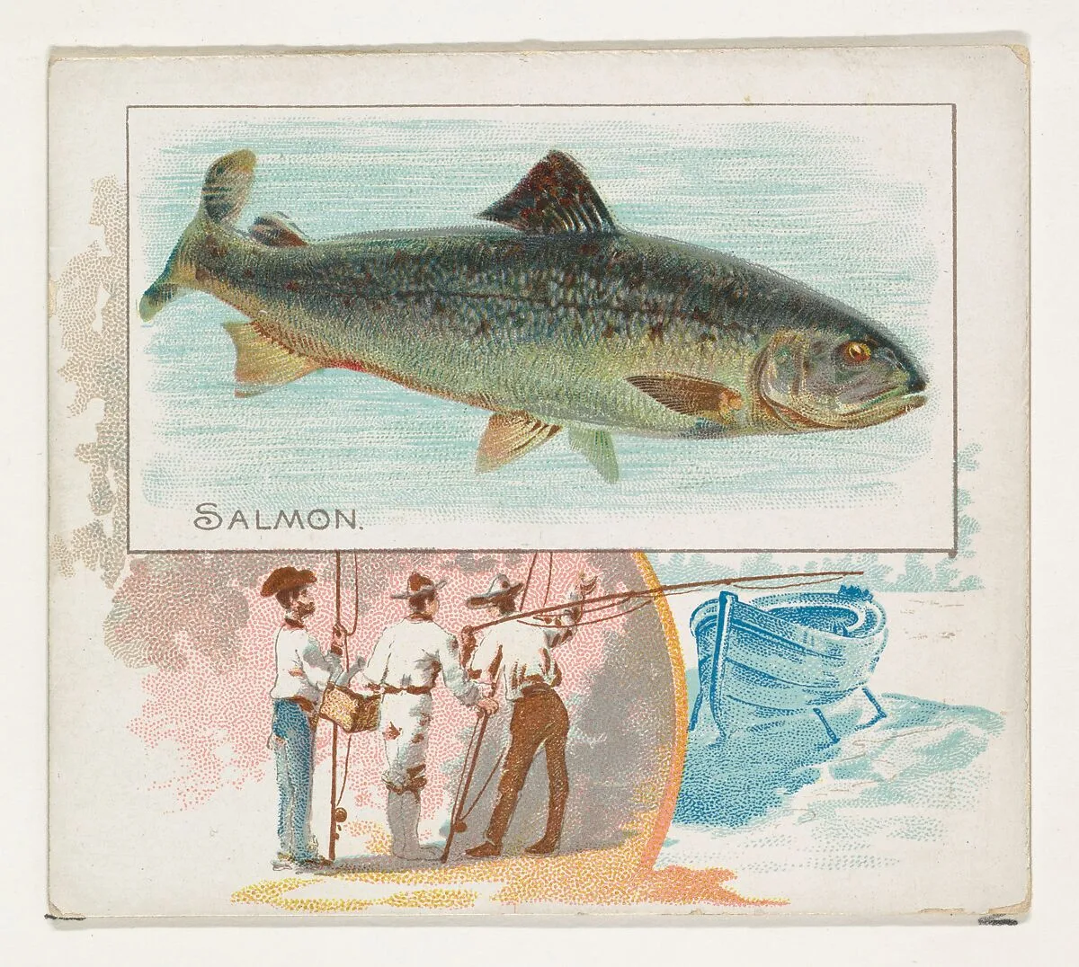 Salmon, from Fish from American Waters series (N39) for Allen & Ginter Cigarettes — Allen & Ginter|Lindner, Eddy & Claus