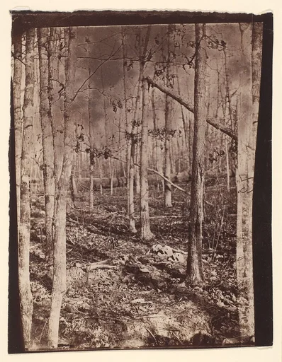 [The Wilderness Battlefield]