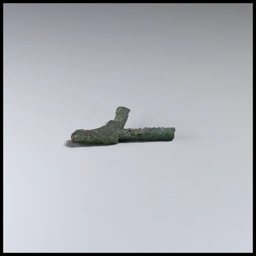 Fibula, fragment