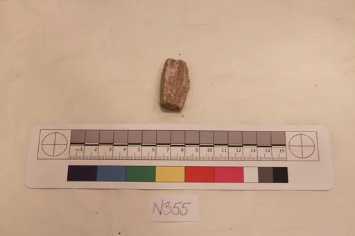 Stucco Fragment