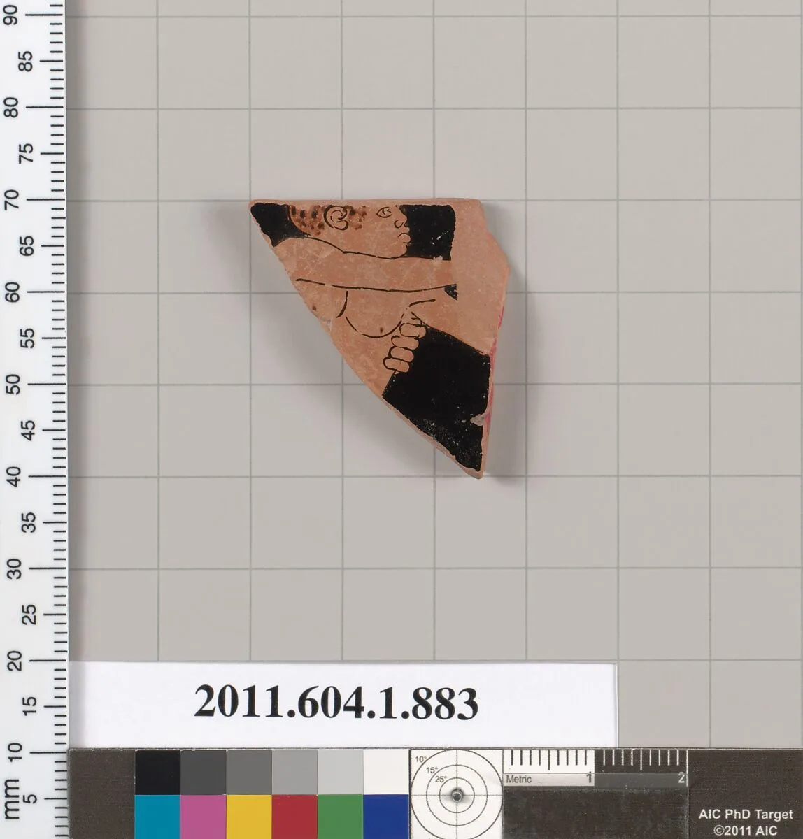 Terracotta fragment of a kylix (drinking cup) — Unknown